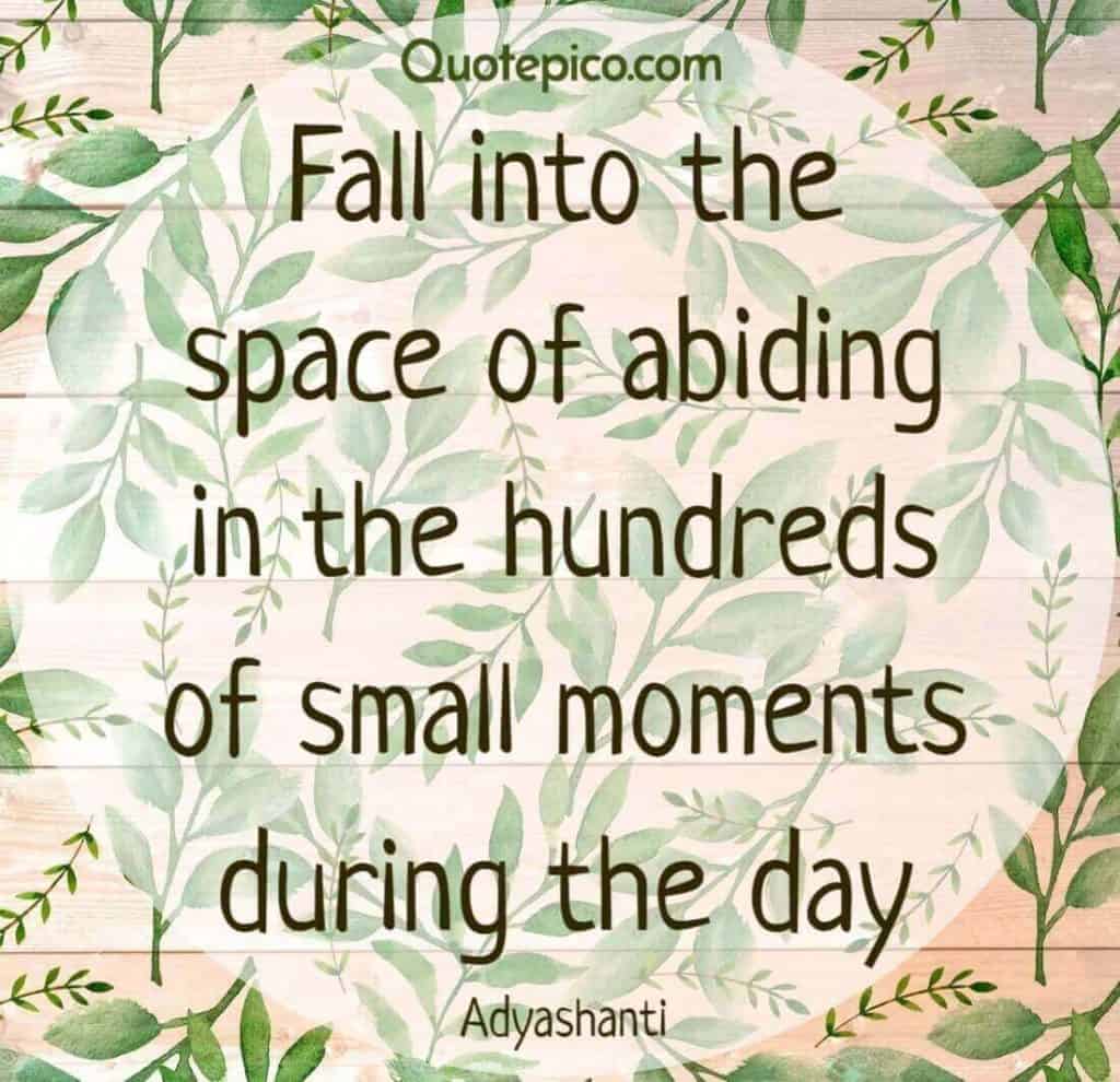 Adyashanti abide small moments quote